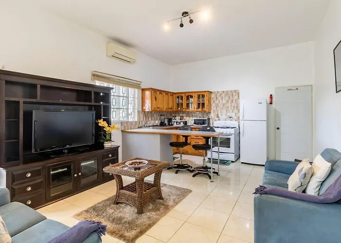 Lovely 1-bed In Montego Bay-rose View Apartment