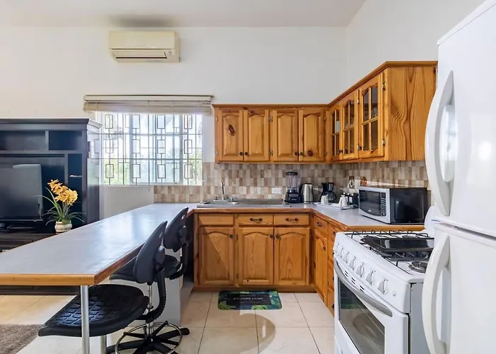 Lovely 1-bed In Montego Bay-rose View Apartment *