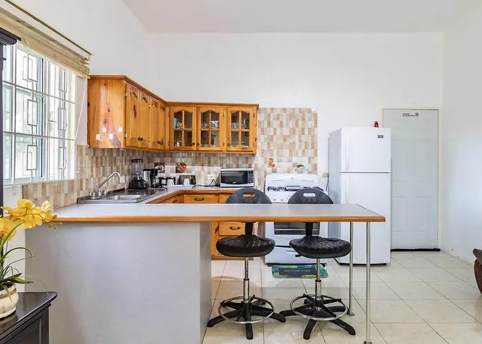 Lovely 1-bed In Montego Bay-rose View Apartment