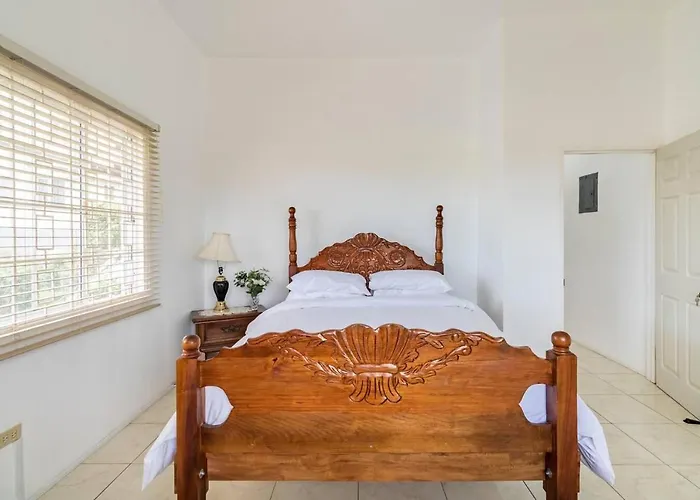 Apartment Lovely 1-bed In Montego Bay-rose View Montego Bay