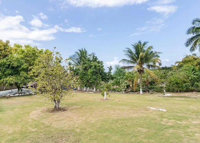 Apartment Lovely 1-bed In Montego Bay-rose View *