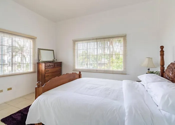 Lovely 1-bed In Montego Bay-rose View Apartment